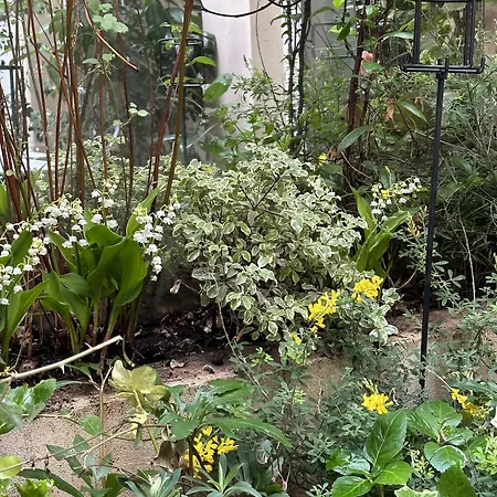 ボーゼジュール ラヌラグ 3* パリ